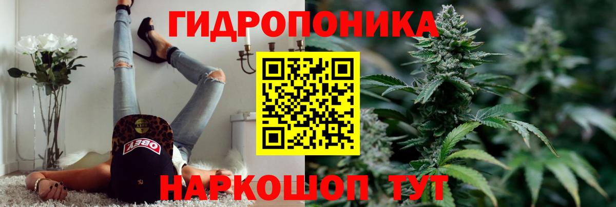 Канабис марихуана  Вход с VPN  Марихуана Bruce Banner  Бошки марихуана THC 21%  Северск 
